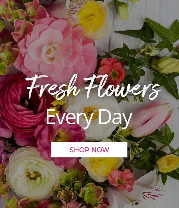 Florist Deerfield Beach Fl Same Day Flower Delivery By Deerfield Florist