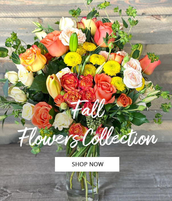 Redwood City, CA Florist Everyday Flowers & Balloons CA