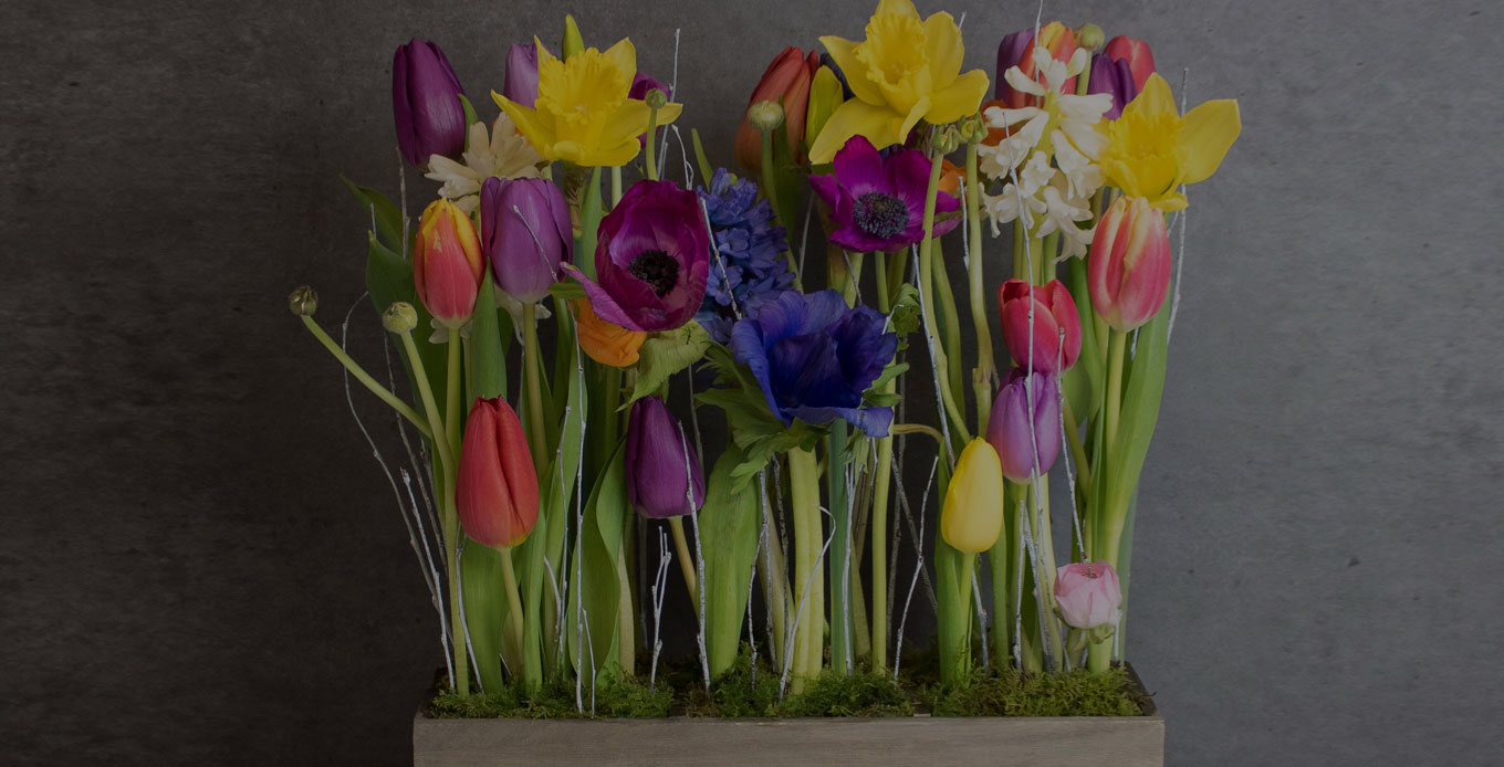 Flowers Delivered Chattanooga Tn Best Flower Site