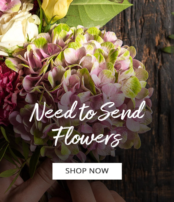 Deal of the Day - by Beehive Florist & Gifts