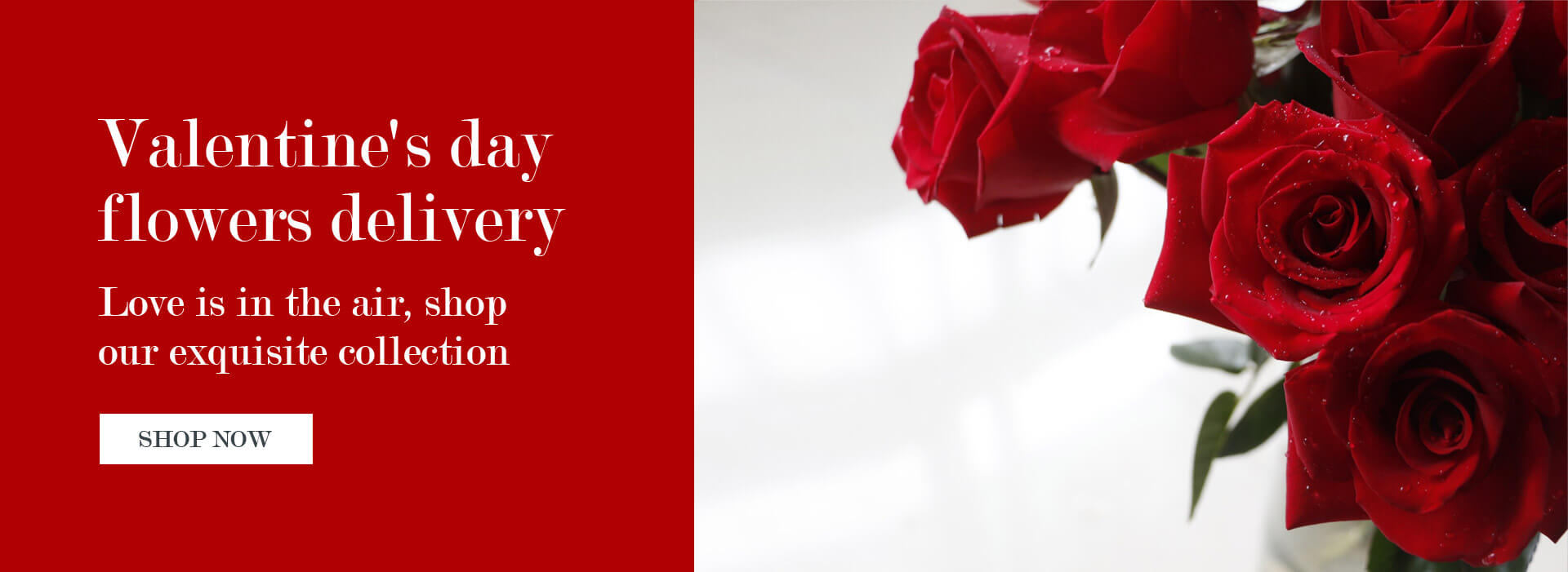 Order Flowers Online For Delivery From Local Florists SnapBlooms